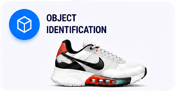 Object Identification